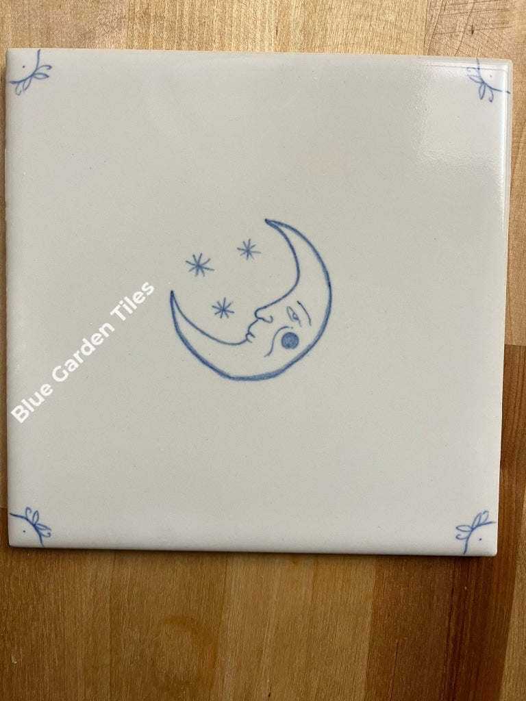 Two Hand Painted 6 Tiles